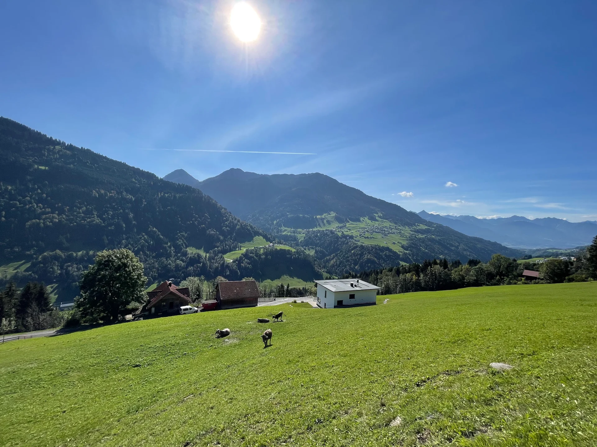 Wiesen - Haus Sücka - Ferienhaus Haus Sücka Blons, Großes Walsertal